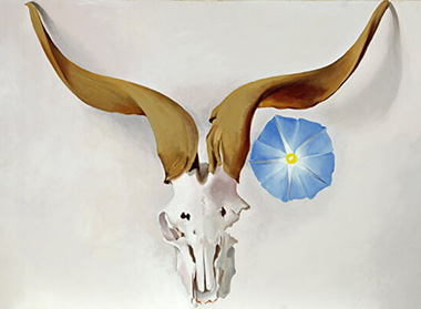 Rams Head Blue Morning Glory Georgia O'Keeffe